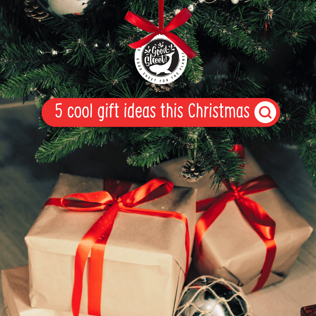 5 cool Christmas gift ideas for busy people in your life
